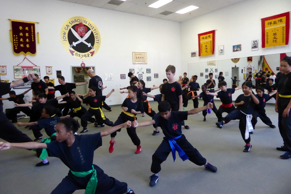 Programs Overview – Jow Ga Shaolin Institute